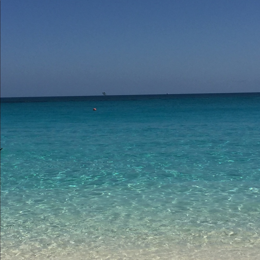 Meet your Posher, Ilona